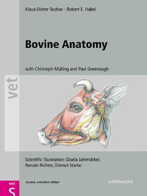 cover image of Bovine Anatomy